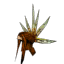StarCap equipment icon