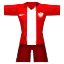 PolandJersey equipment icon