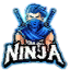 NinjaGarment