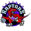 TorontoRaptors equipment icon