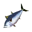 Blowfish