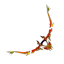 StagBow
