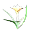 Unknown Item (180060) equipment icon